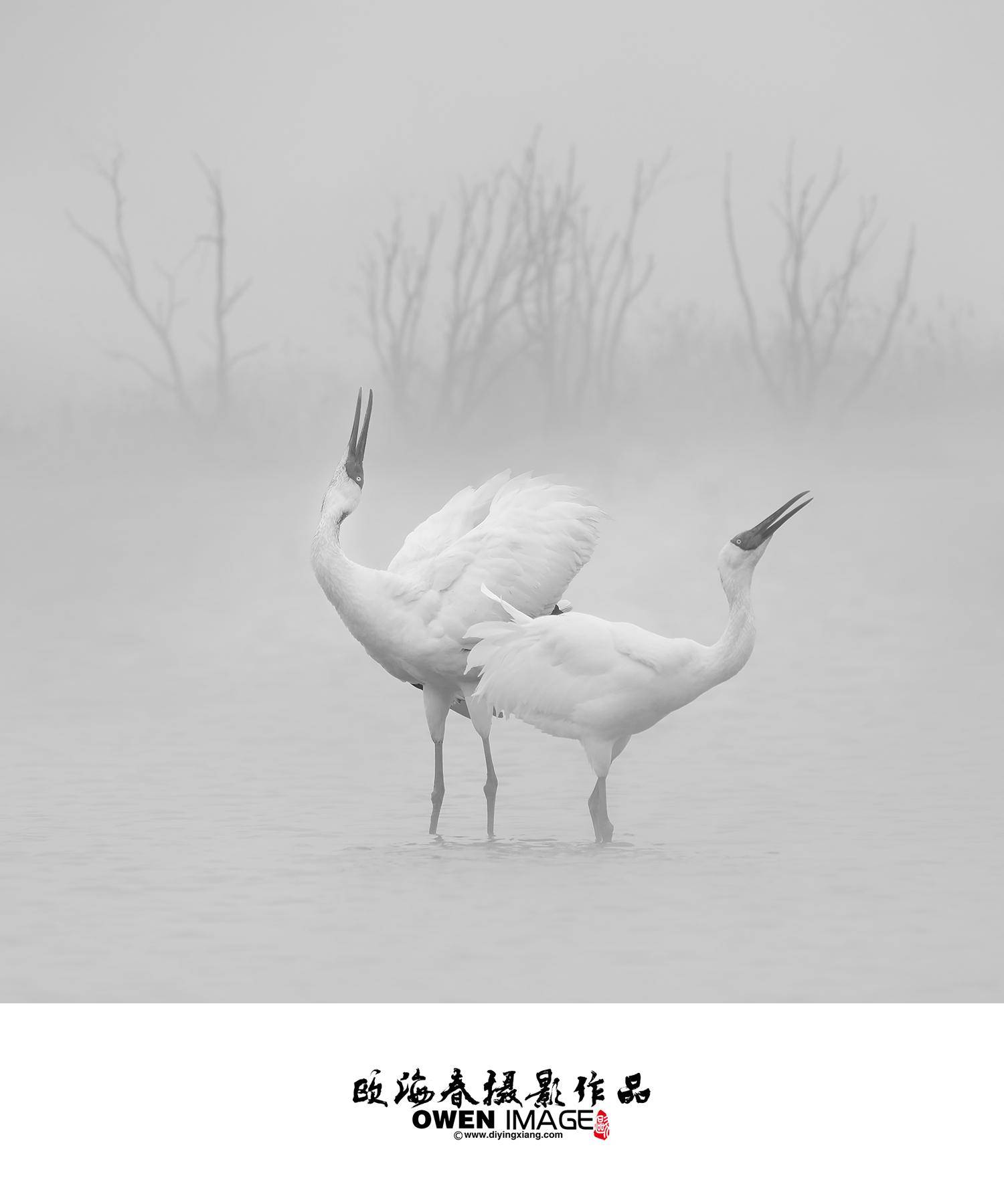 默认教学计划 -迪映像摄影学院 i 摄 欧海春 摄影线上学习 摄影培训 PS学习 摄影自学 Photoshop自学 手机摄影 - 摄影在线课堂,摄影视频教程,摄影视频教教程,摄影视频教程大全,摄影视频教程网,人像摄影视频教程,风光摄影视频教程,照片处理教程,摄影教程,摄影基础入门教程,单反入门教程,摄影入门学习,摄影入门视频,摄影在线学习,相片后期处理视频,自学摄影,在线学摄影,教摄影,学摄影,手机摄影教程 - Powered By EduSoho