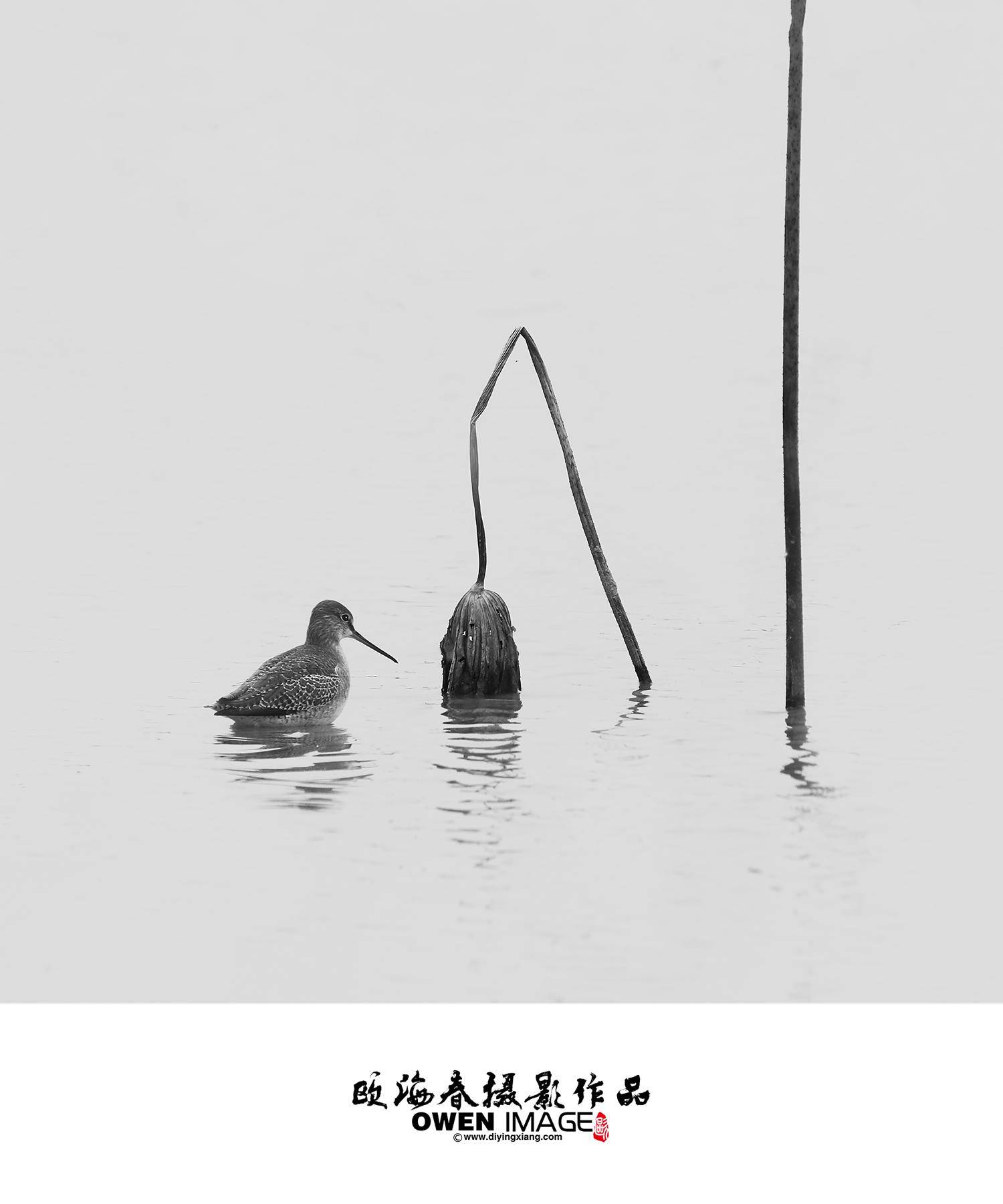 默认教学计划 -迪映像摄影学院 i 摄 欧海春 摄影线上学习 摄影培训 PS学习 摄影自学 Photoshop自学 手机摄影 - 摄影在线课堂,摄影视频教程,摄影视频教教程,摄影视频教程大全,摄影视频教程网,人像摄影视频教程,风光摄影视频教程,照片处理教程,摄影教程,摄影基础入门教程,单反入门教程,摄影入门学习,摄影入门视频,摄影在线学习,相片后期处理视频,自学摄影,在线学摄影,教摄影,学摄影,手机摄影教程 - Powered By EduSoho