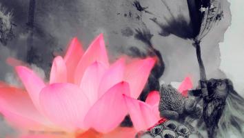 【皇冠】荷花摄影与后期